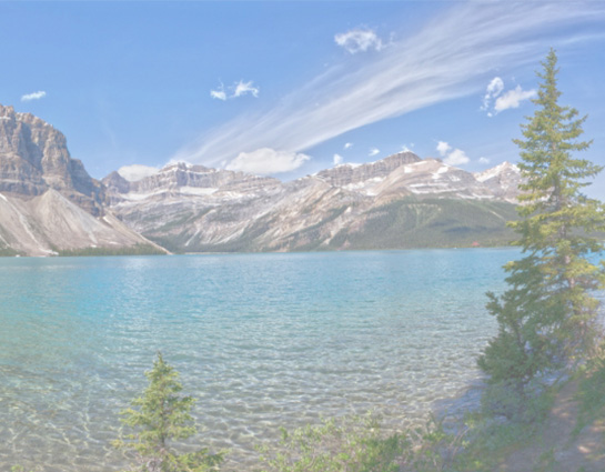 Banner Image Three